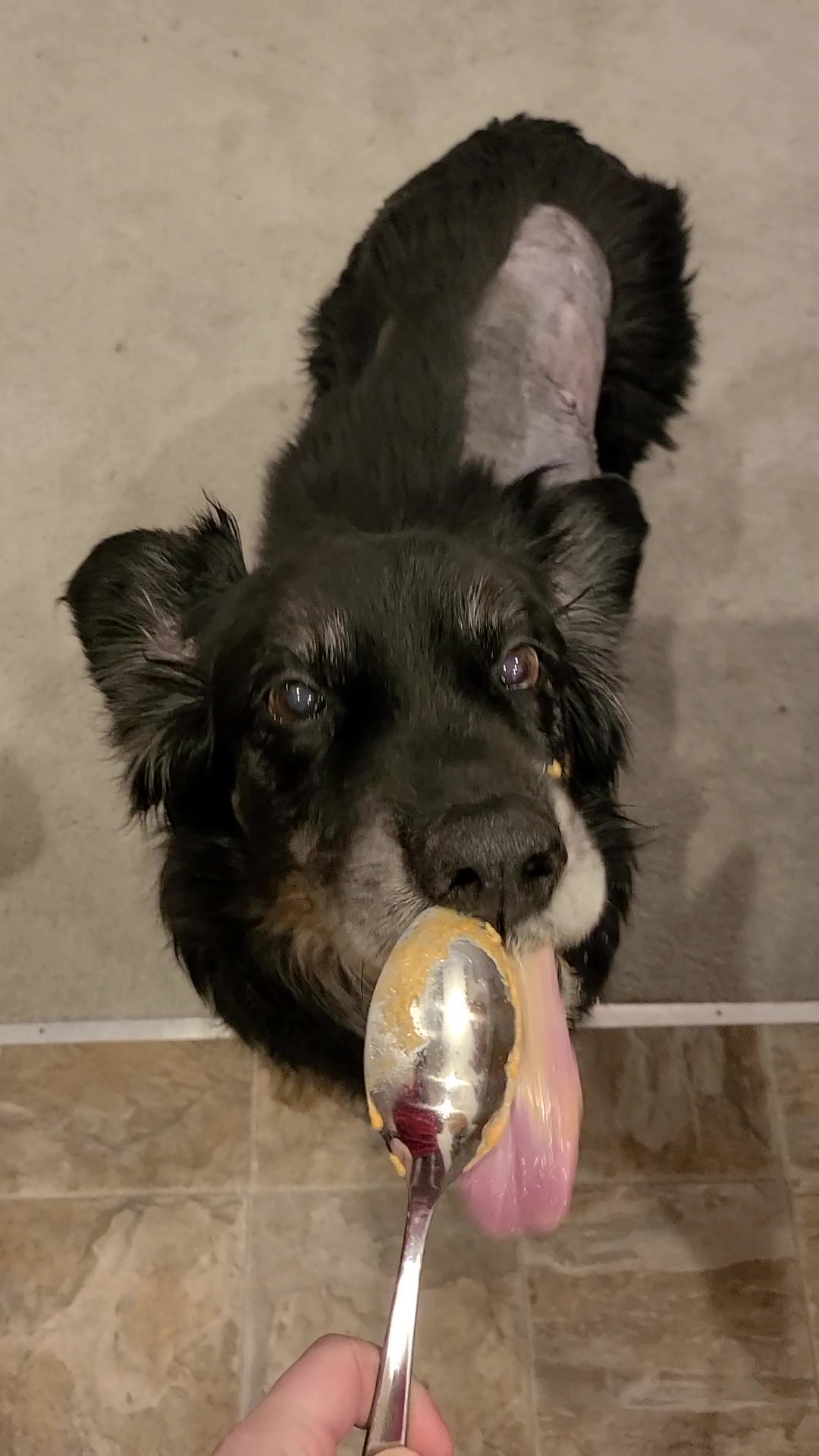 Chasm snacking on some peanut butter after a major surgery, Jan 2024