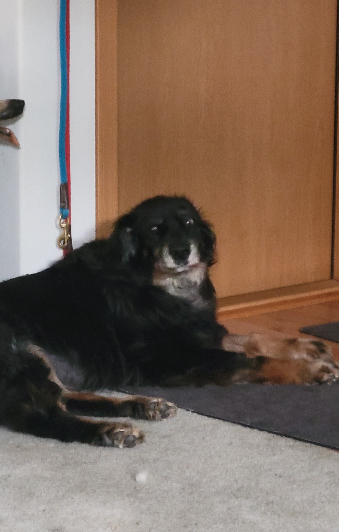 Chasm right after he woke up from a nap, 2025