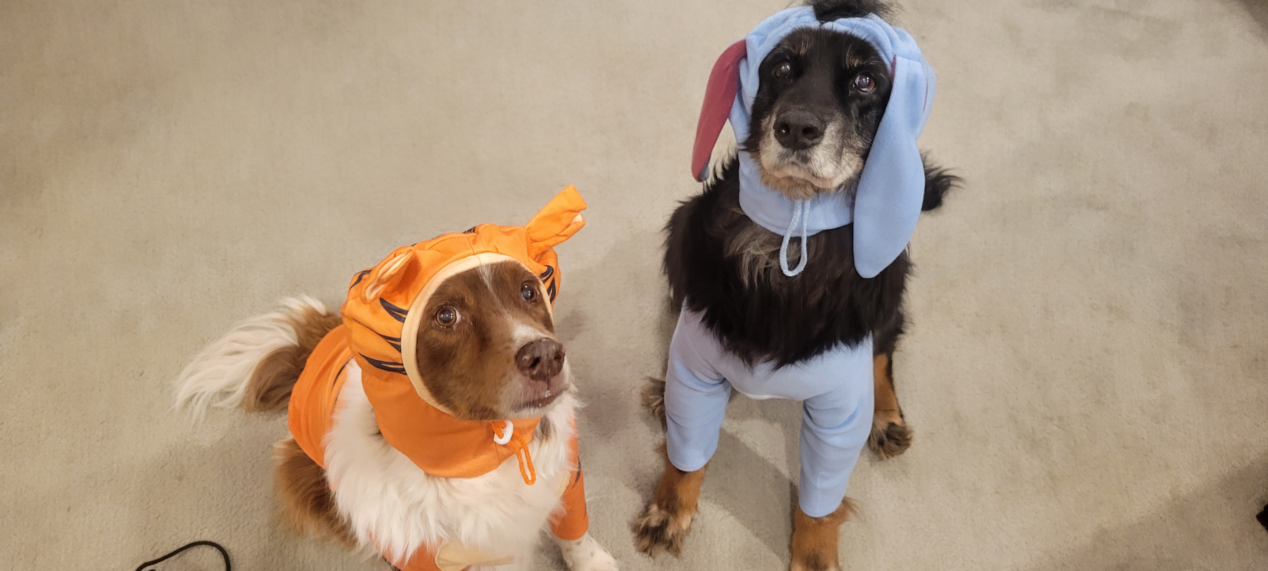 Koda and Chasm wearing Tigger and Eeyore costumes, respectively, 2024
